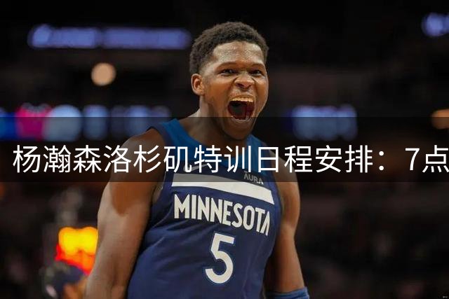 杨瀚森洛杉矶特训日程安排：7点前往球馆 8点开始训练&11点结束